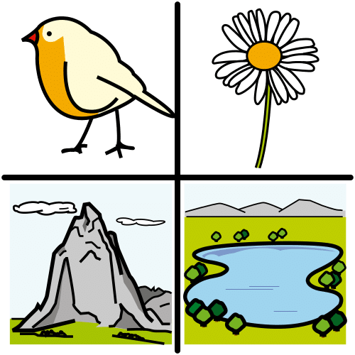 why_choose_2f0f2dcf0186d382bafe3a6fd21c2467.png